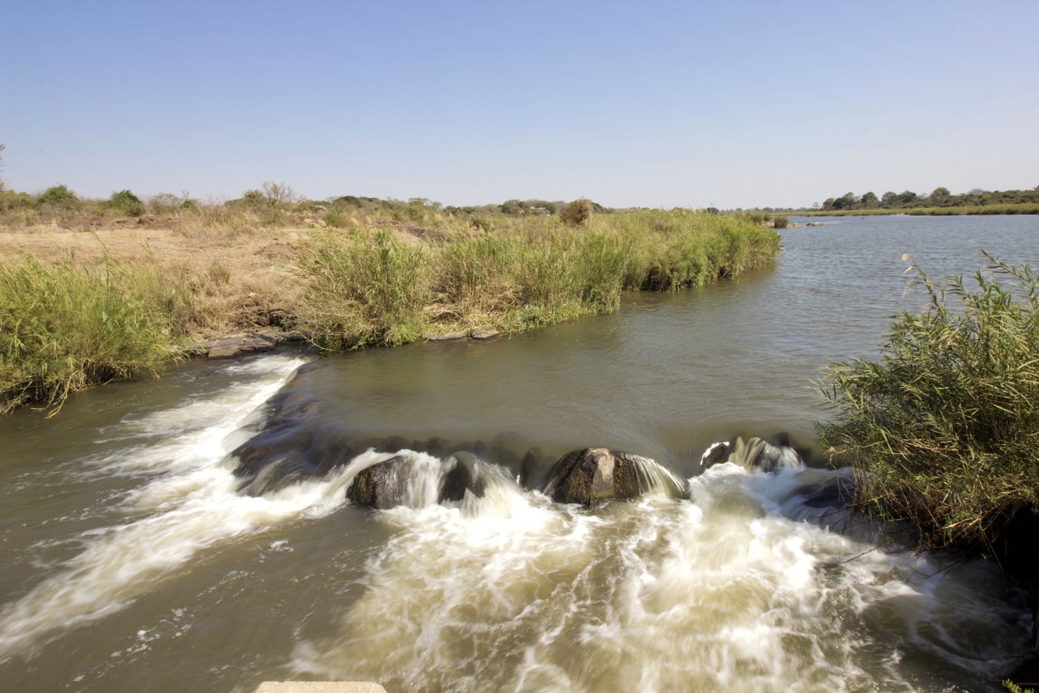 A river flows over rocks, creating small rapids in the foreground. Green shrubs and grasses line the riverbanks under a clear blue sky. The landscape is flat and open, with dry, brownish vegetation in the background.