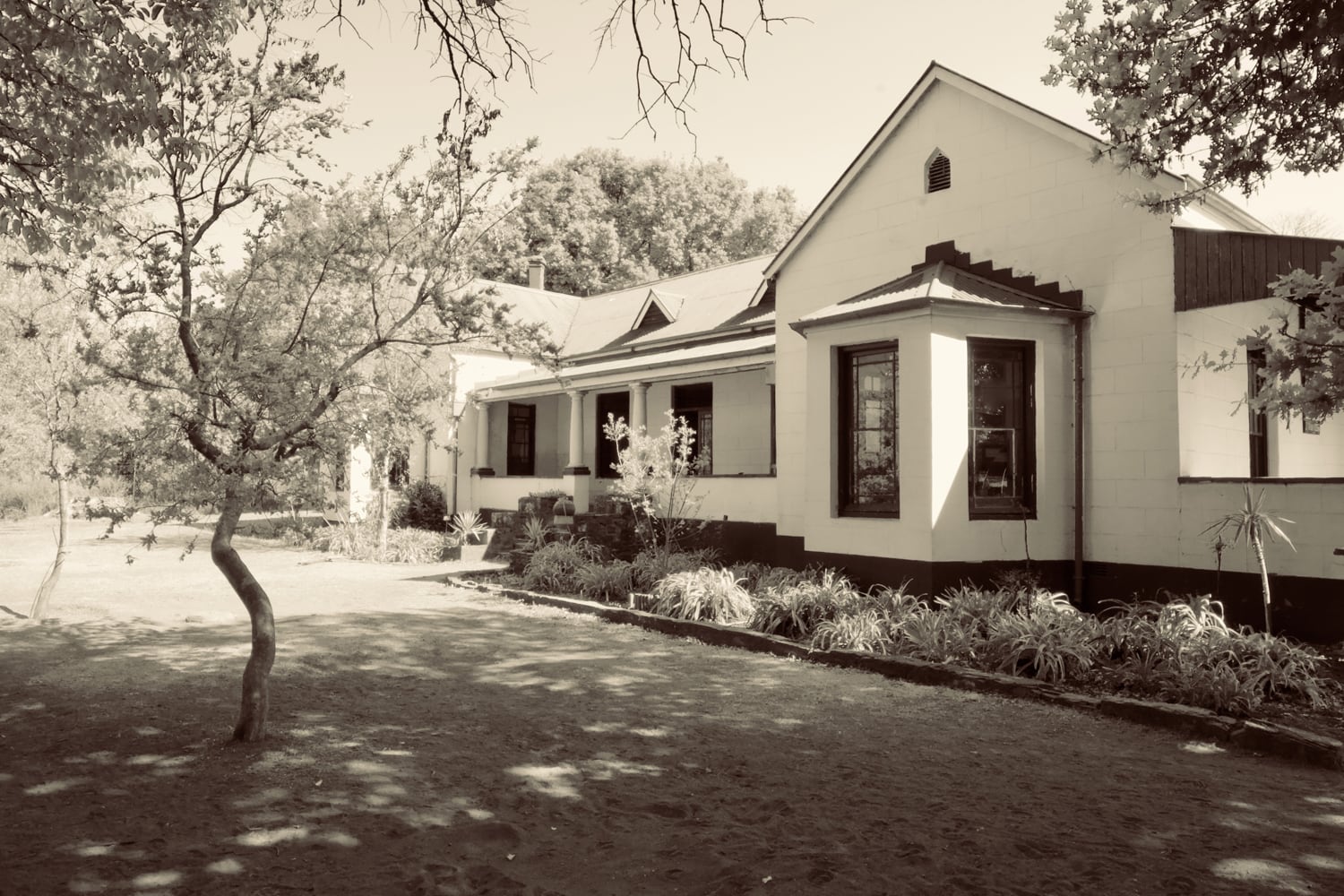 A sepia-toned photo shows a single-storey house with white walls, dark trim, pitched rooflines, and several large windows. Trees cast shadows on the ground and the house is surrounded by shrubs and a dirt garden under a clear sky.