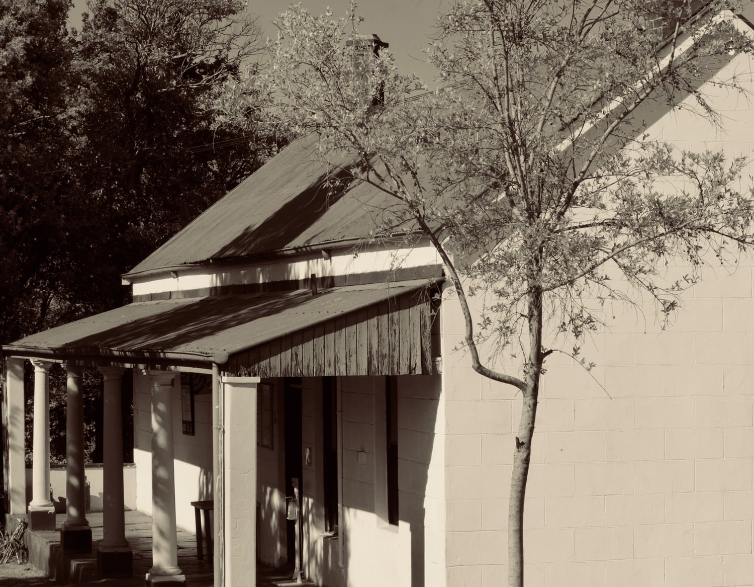 A sepia-toned photograph of a small, old-fashioned house with a metal roof, covered porch supported by columns, and a slender tree in front. Shadows of branches fall on the building’s pale exterior. Dense foliage is visible in the background.